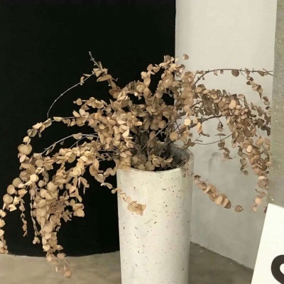 Furry插画细节设计Furry群